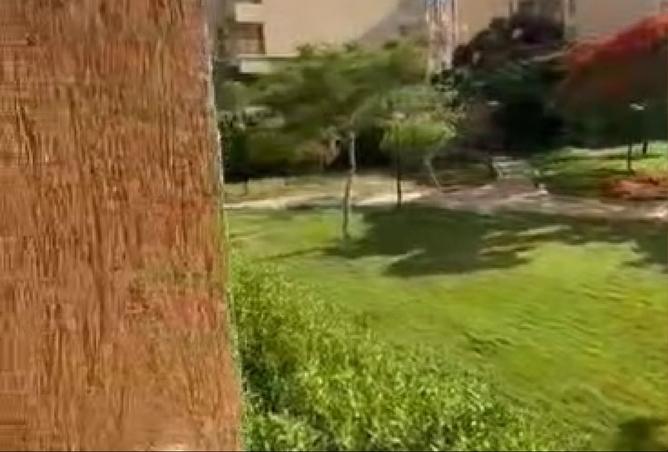 102070302 - الصورة الرئيسية للعقار