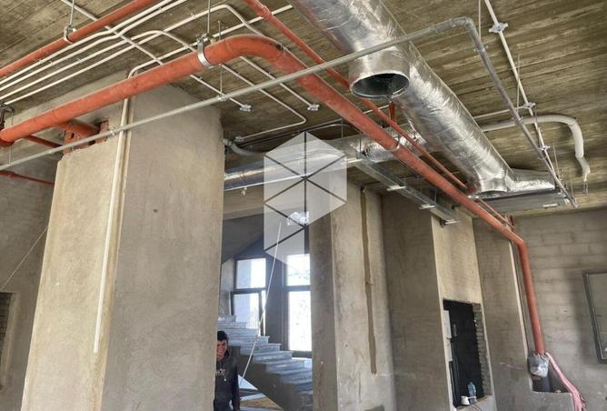 68267814 - Property Image 3