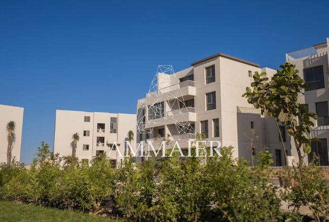 100927120 - Property Image 3