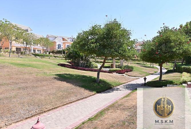 74315590 - صورة العقار 3