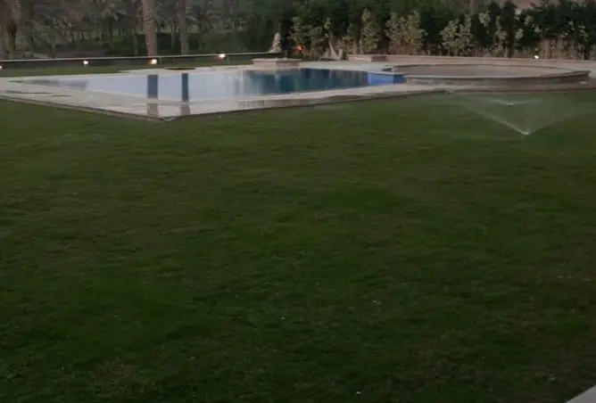 117008594 - صورة العقار 2