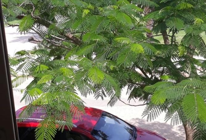 102357488 - صورة العقار 3
