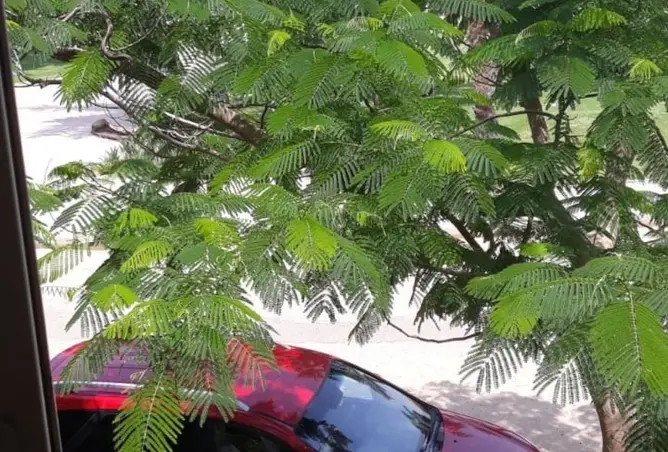 102357488 - صورة العقار 3