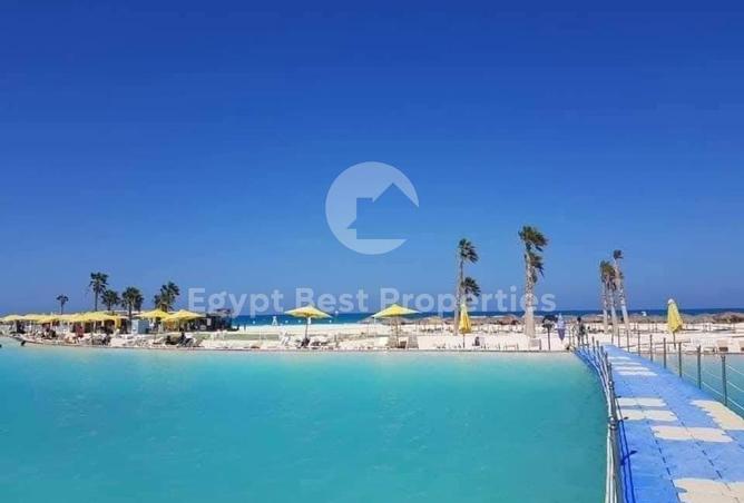 78662616 - Property Image 3