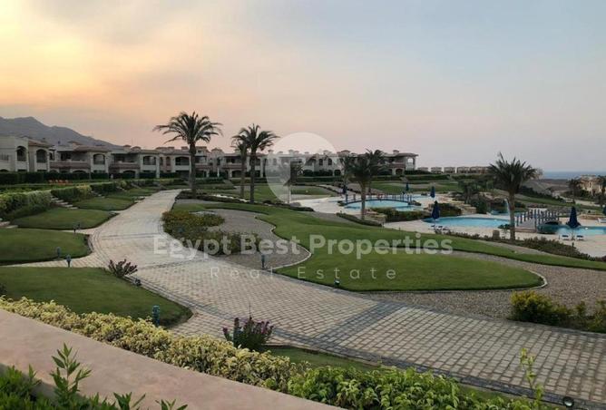 87520098 - صورة العقار 2