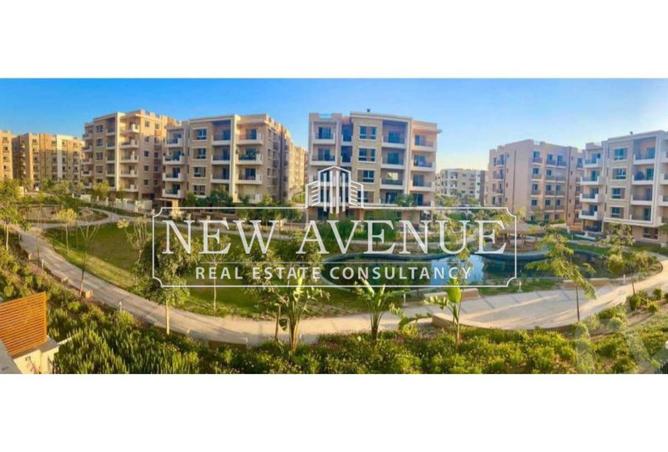 63390677 - Property Image 3