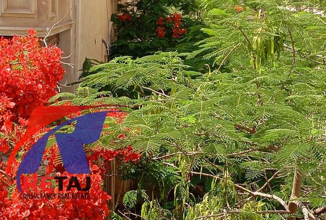 85875061 - الصورة الرئيسية للعقار