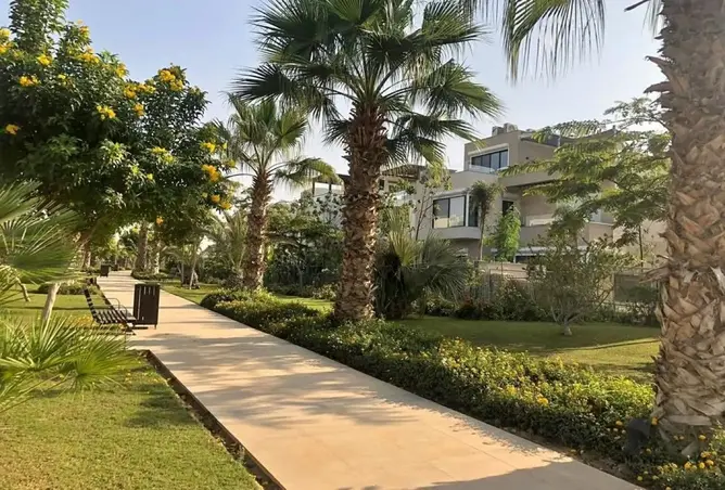 115448121 - صورة العقار 3