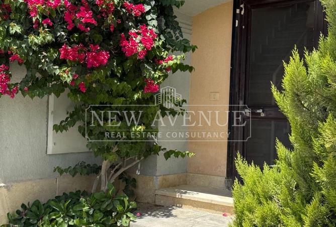 97435311 - Property Image 2