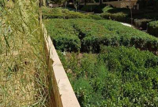 69840454 - صورة العقار 2