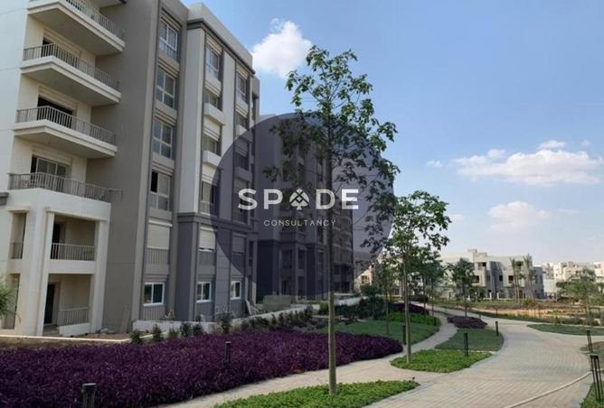 58989145 - Property Image 3