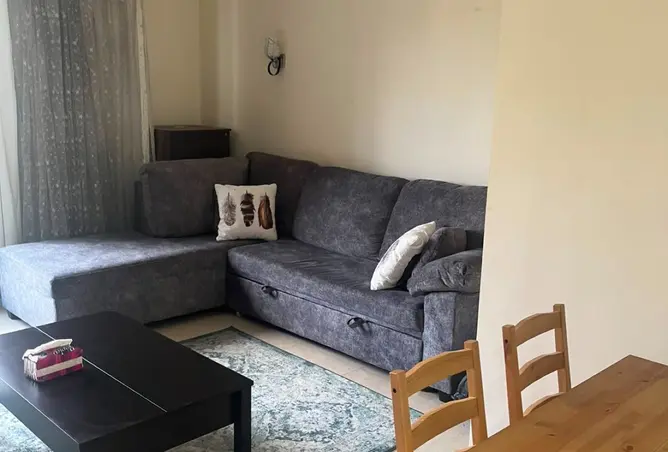 101778879 - Property Image 3