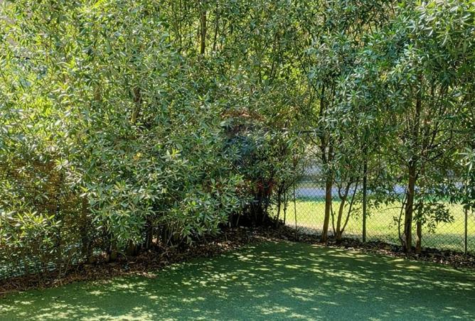 52460938 - صورة العقار 2