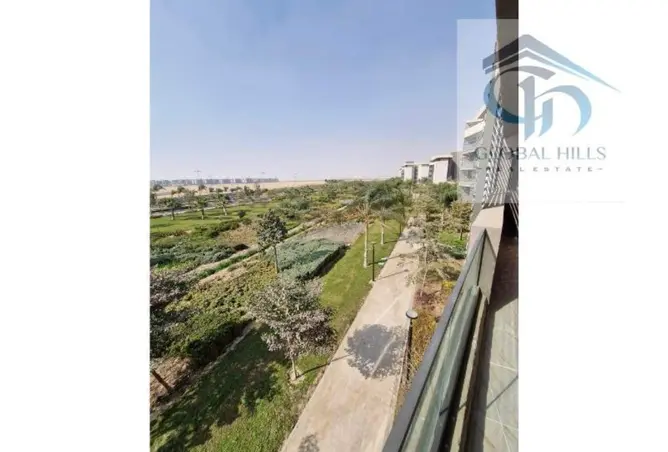 115446526 - Property Image 3