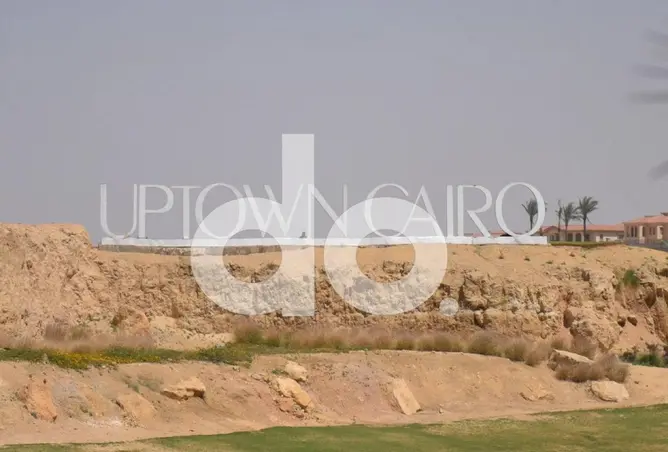 121137281 - Property Image 2