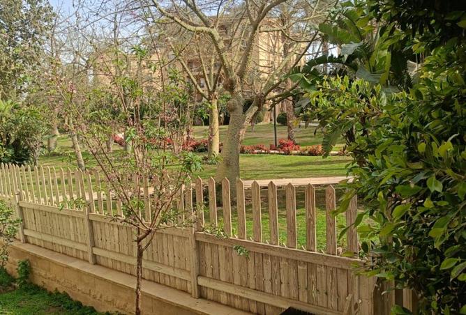 65662513 - صورة العقار 2