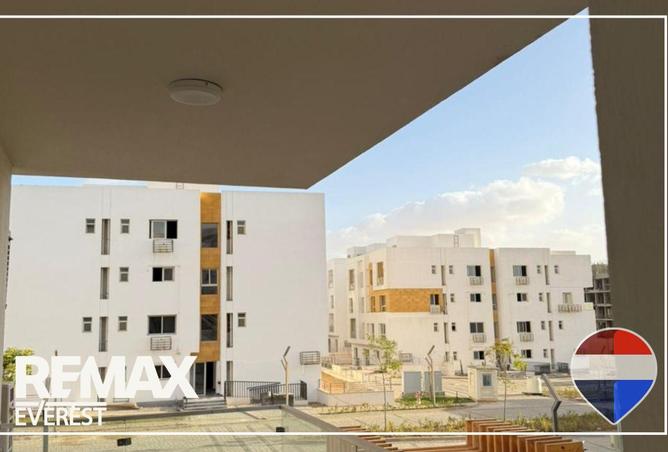 53735048 - Property Image 3