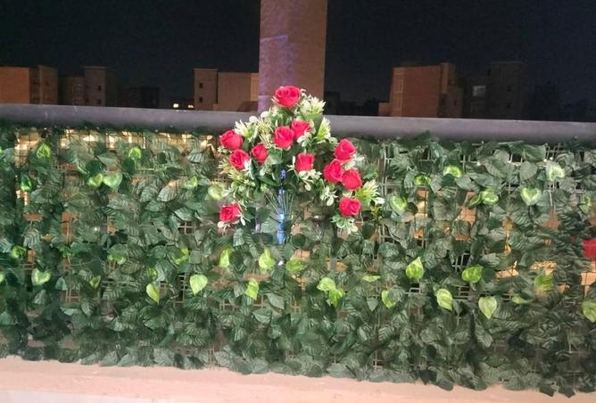 69560444 - صورة العقار 2