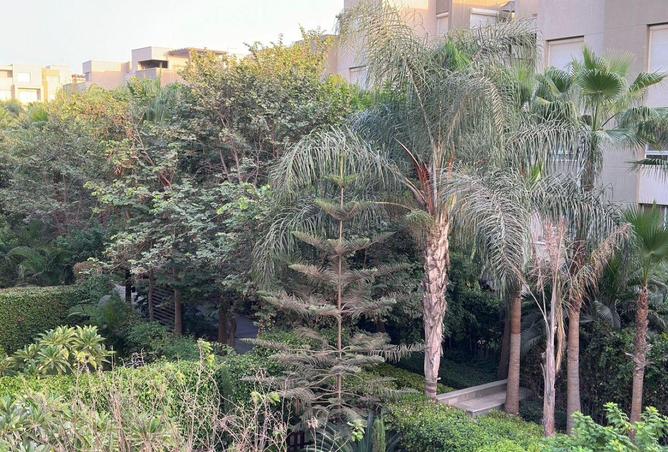 57501434 - صورة العقار 2