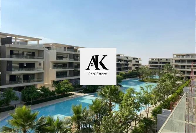 55505626 - صورة العقار 3