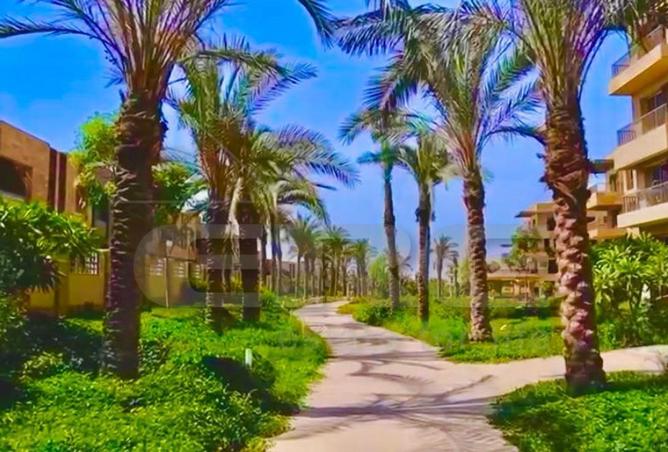 54241944 - صورة العقار 3