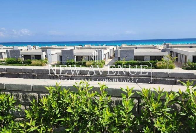 58242828 - Property Image 2