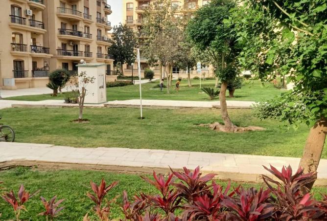 69575084 - Property Image 2