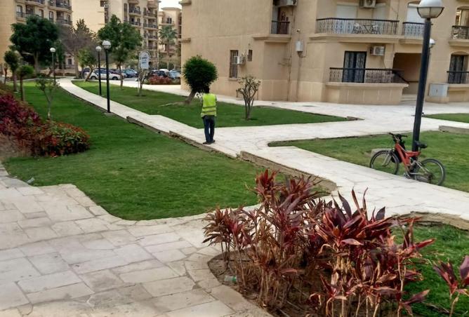 69575084 - Property Image 3