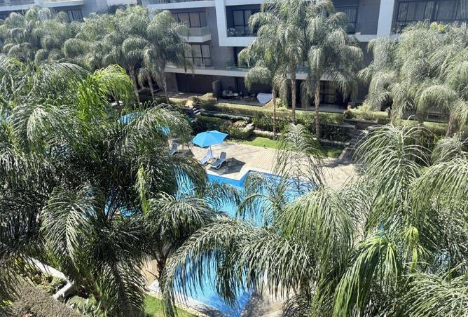 66433012 - صورة العقار 2