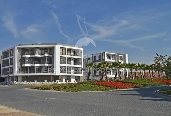 8573615 - Property Image 3