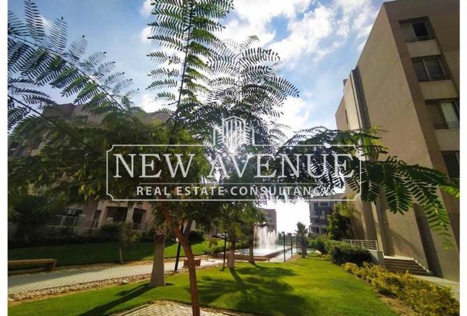 8663960 - Property Image 3