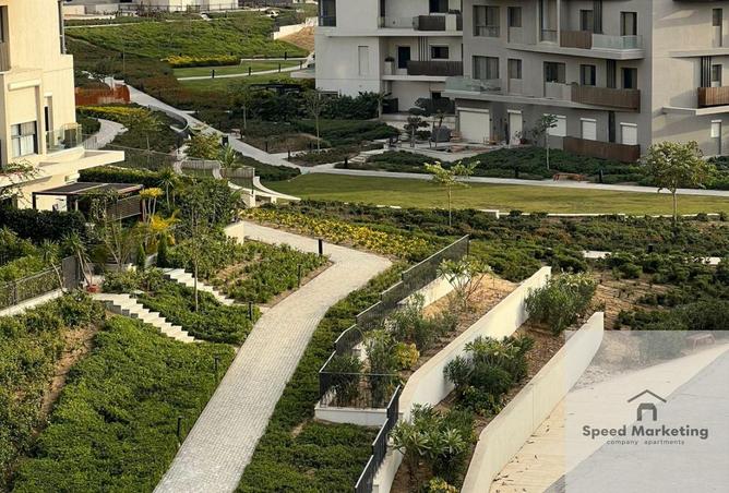 65414575 - Property Image 3