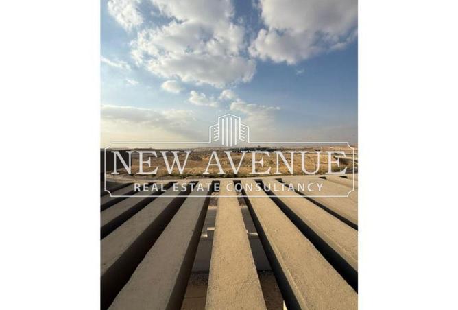 54491925 - Property Image 3