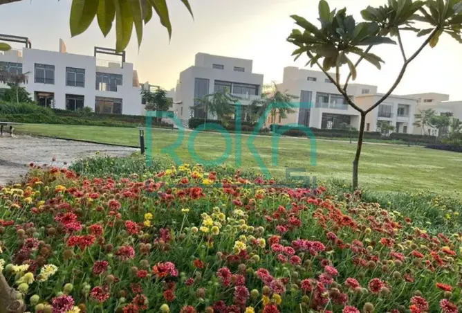 111586410 - Property Image 3