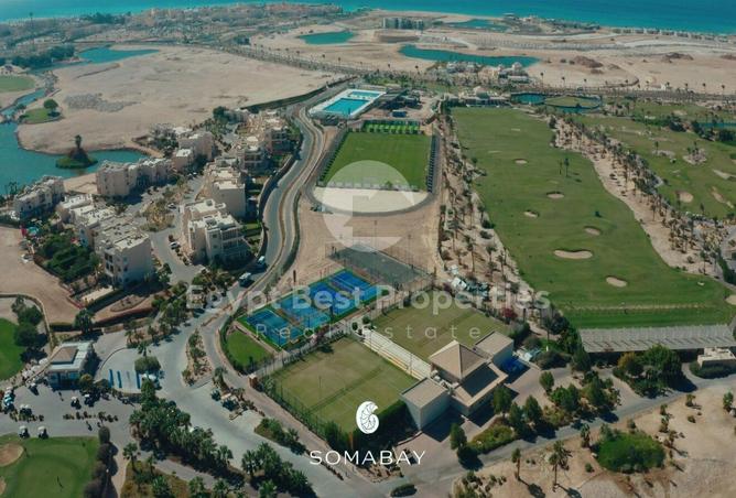 66436742 - Property Image 3