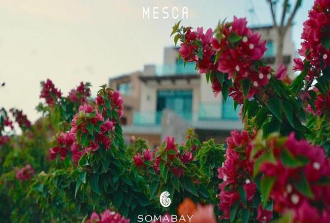 61679322 - صورة العقار 2