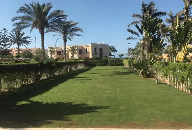 117780724 - صورة العقار 3