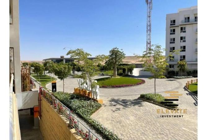 66167507 - Property Image 3