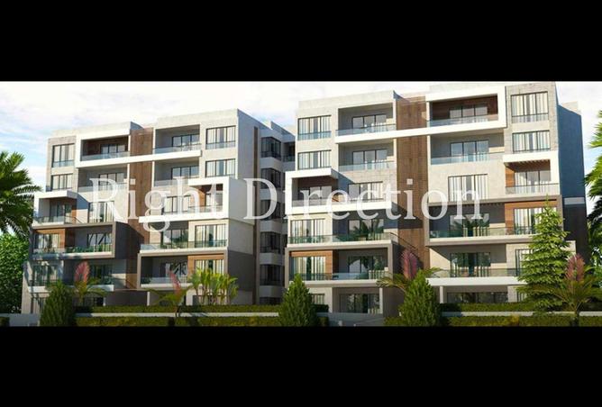 8719482 - Property Image 3