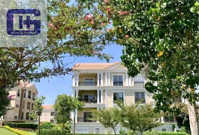 56504871 - Property Image 2