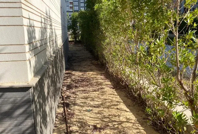 85333311 - Property Image 3