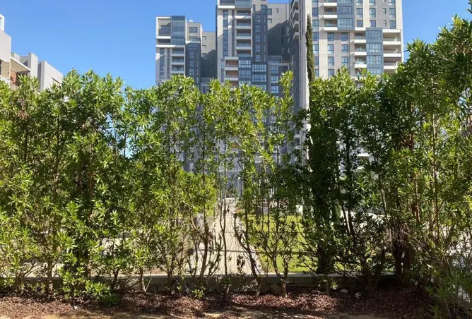 85333311 - Property Image 2