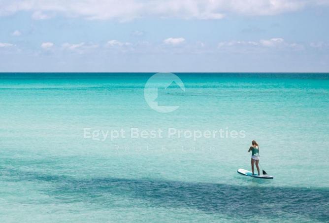 97721817 - Property Image 3