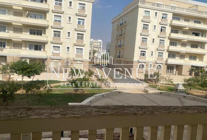 55003951 - صورة العقار 3