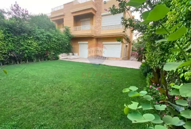 113807281 - صورة العقار 2