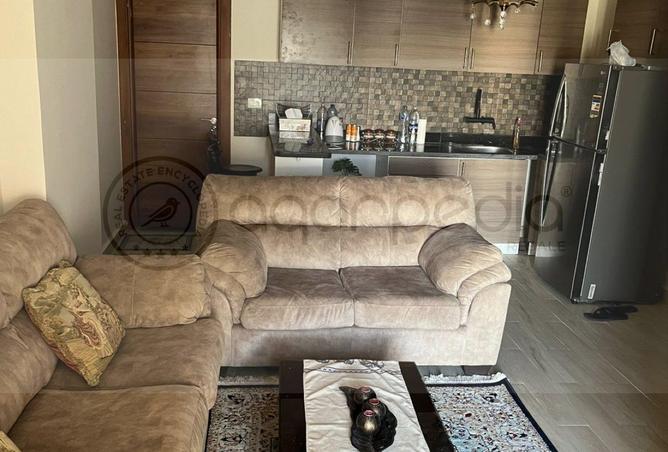 8718129 - Property Image 2