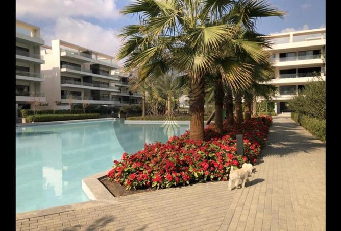 8431095 - الصورة الرئيسية للعقار