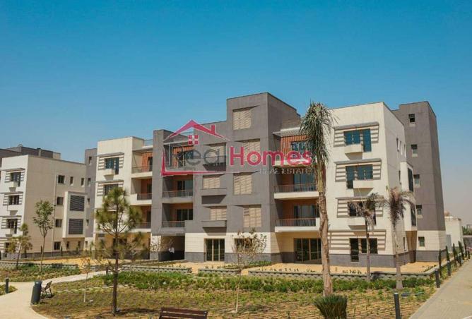 8236575 - Property Image 3