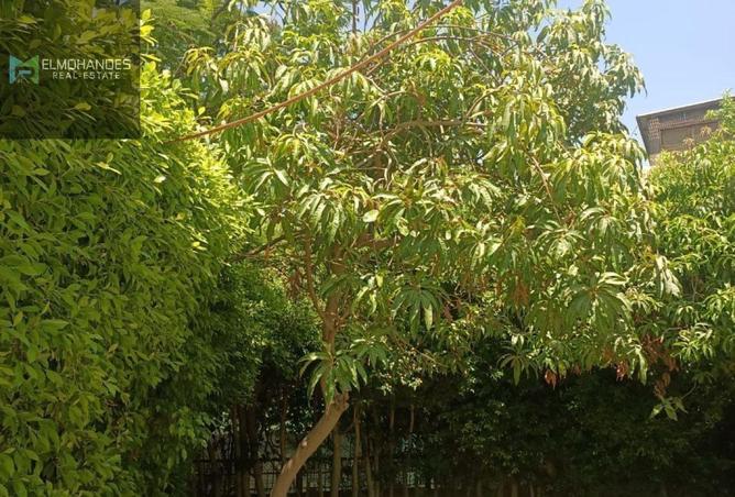 8588686 - صورة العقار 2