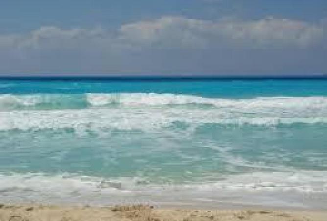 67991490 - Property Image 3